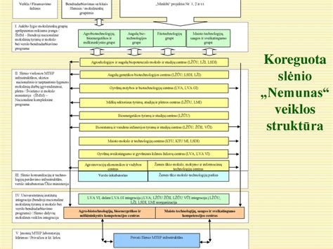 Šeimynų veiklos schema