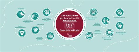 Schema, lyginanti paruošiamuosius ir tikruosius sąrėmius