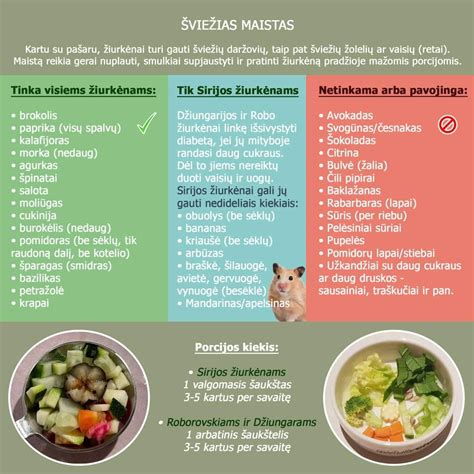 Dalyvavimo mokykloje schema su skirtingais amžiaus vaikais