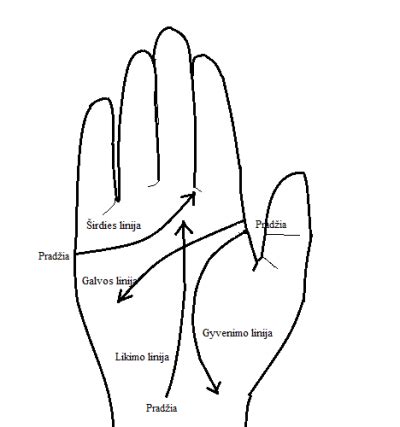 Schema, kaip delne atsispindi vaiku linijos