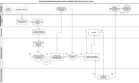 Schema: Teismo leidimų išdavimo procesas nepilnamečių turtui