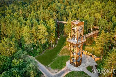 Nuotrauka: Medžių lajų takas Anykščiuose