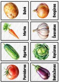 vaikiškos daržovių iliustracijos