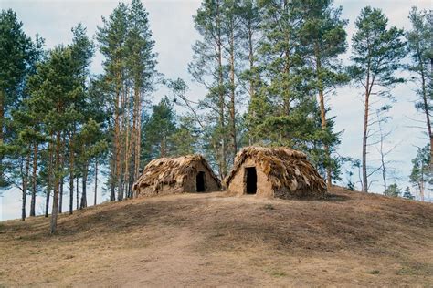 Senovės lietuvių pilis
