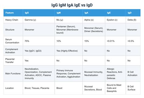 Schema su penkiomis pagrindinėmis antikūnų klasėmis (IgA, IgM, IgG, IgD, IgE) ir jų funkcijomis