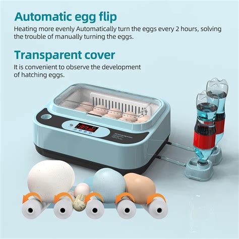 Inkubatorius su žąsų kiaušiniais