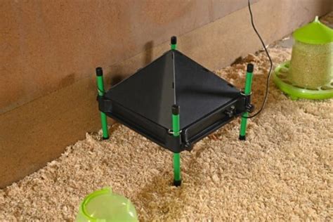 Brooderis su šildymo plokšte viščiukams