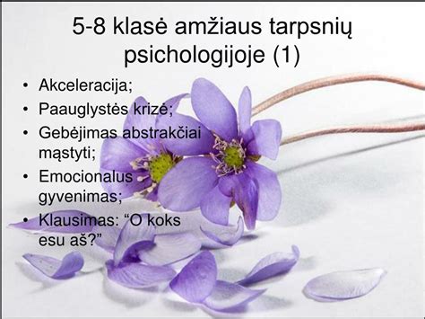 Amžiaus tarpsnių pykčio raiška
