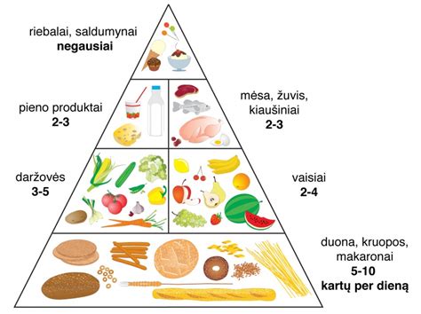 Kūdikių mitybos piramidė su mėsos ir geležies svarba