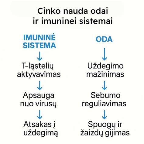 Schematinis vaizdas apie ežiuolės naudą imuninei sistemai