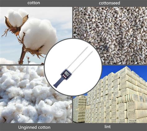 Medvilnės pluoštų struktūra ir drėgmės sugėrimas