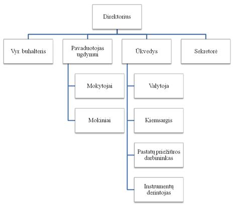 Schema: Meno terapijos programos struktūra