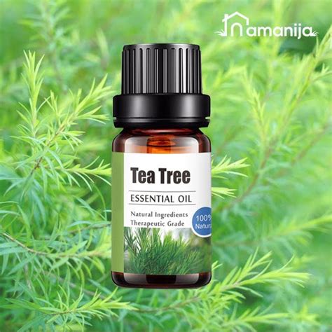 arbatmedžio eterinis aliejus