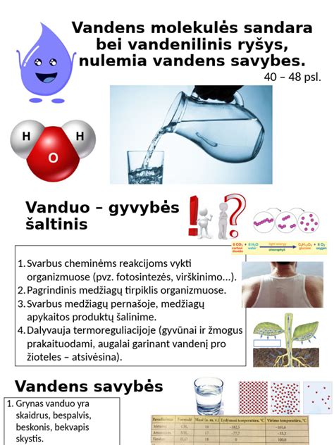 Sielos sandara ir jos ryšys su psichiniais agregatais