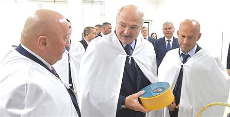 schemą, kaip įgyti auklės kvalifikaciją Lietuvoje