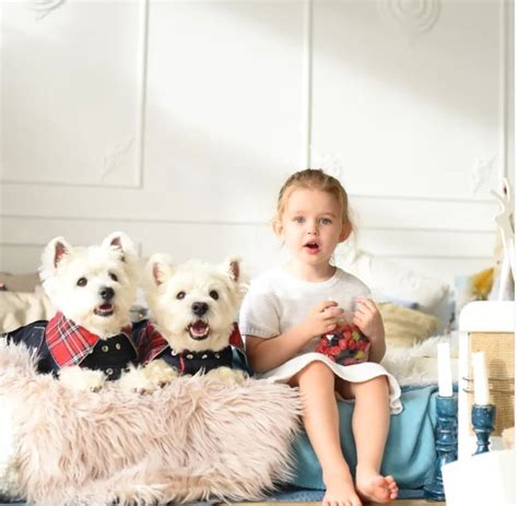 kūdikis su kostiumu ir šunys