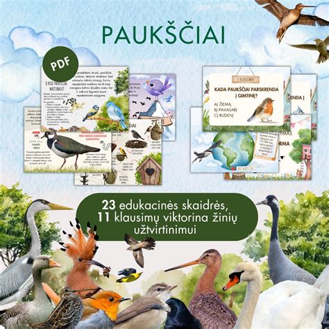 Pavasario paukščiai sugrįžta