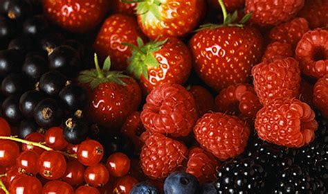 Įvairių vaisių ir uogų asortimentas