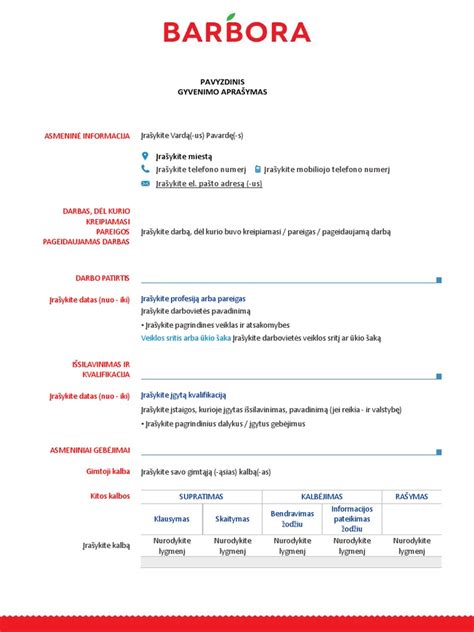 Pavyzdinis CV antraštės formatas