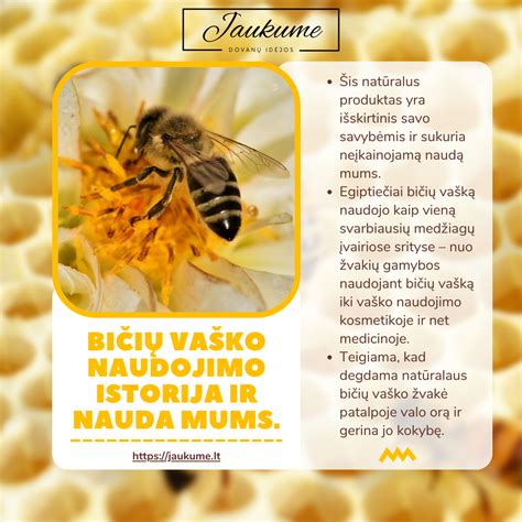 Apipjaustymo istorija ir medicininė nauda