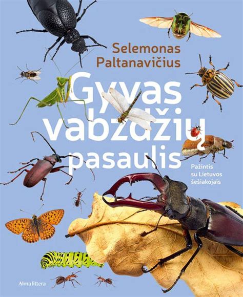 Vabzdžių įgėlimų schema