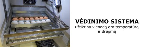 Schematinis inkubatoriaus pavaizdavimas