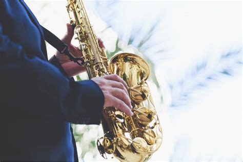 muzikos pamokos nuotoliniu būdu