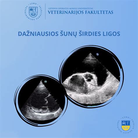 Dažniausios auklėtojų frazės tėvams