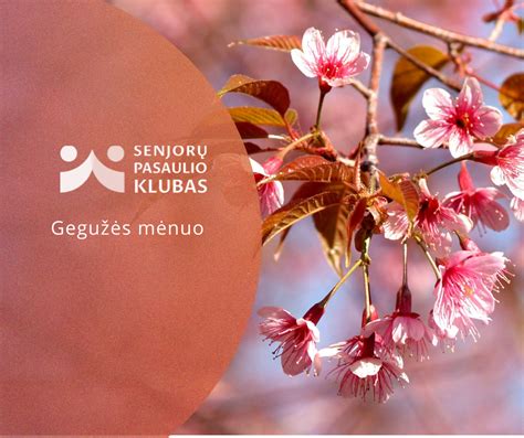 Schematinis giminystės medžio pavaizdavimas