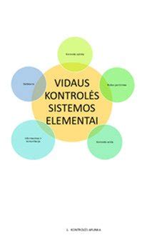 Schema vidaus kontrolės sistemos viešuosiuose pirkimuose