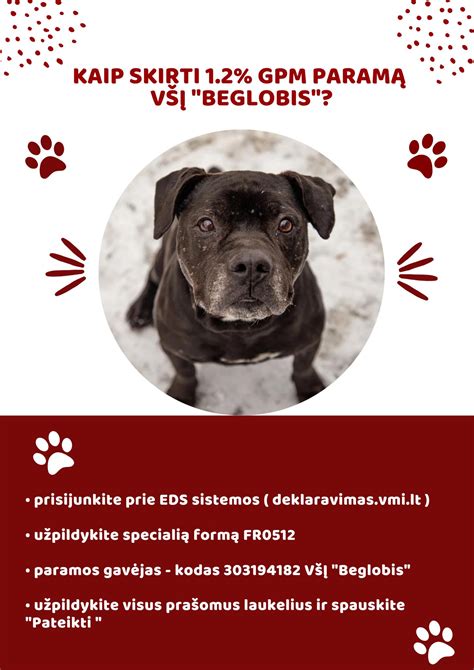 Beglobis gyvūnas laukia pagalbos