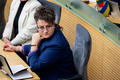 Sąlygos, kad tėvai būtų draudžiami valstybės lėšomis