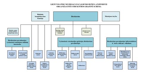 Schema organizacinės struktūros globos namų
