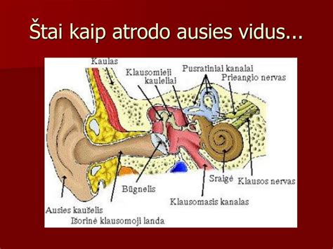 schema - kaip peršalimas veikia ausis