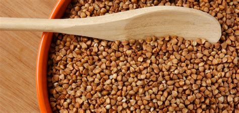 Grikiai ir jų maistinės vertės