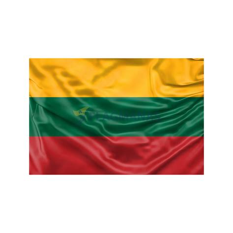 Lietuvos vėliava su Donato Montvydo atvaizdu „Eurovizijoje“