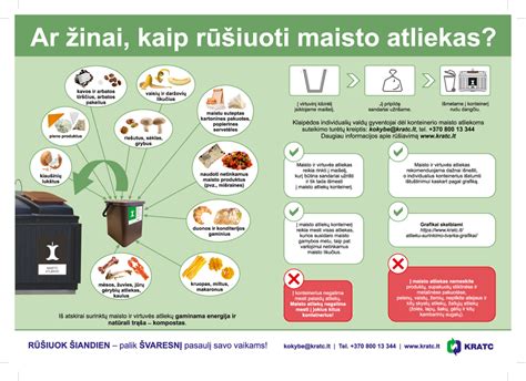 Schema, kaip paskirstyti paros maisto energijos normą