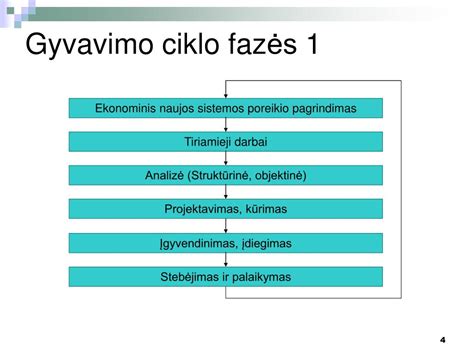 Infografika: Gyvavimo ciklo blusos