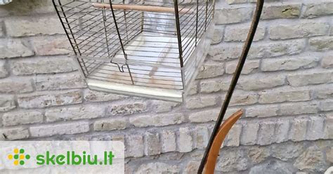 Narvelio įrengimas papūgėlėms