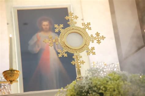 Vaizdas su Eucharistijos simboliu