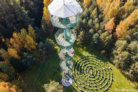 apžvalgos bokštas gamtos apsuptyje