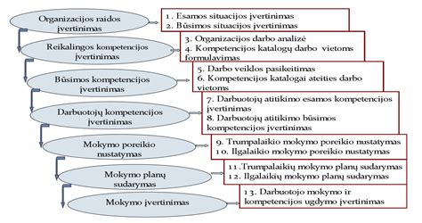 Profesinės kompetencijos tobulinimo kryptys