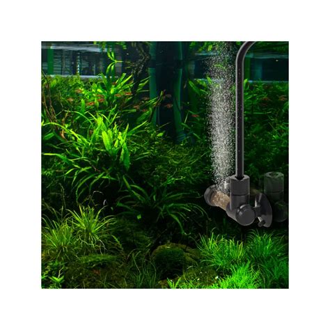 Akvariumo sifonavimo procesas