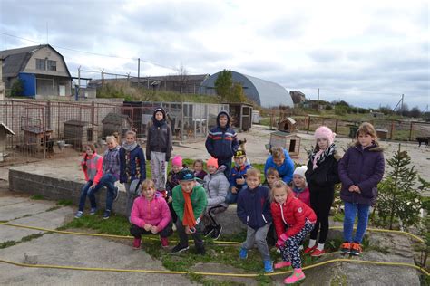 Procesas, kaip gauti siuntimą į globos namus