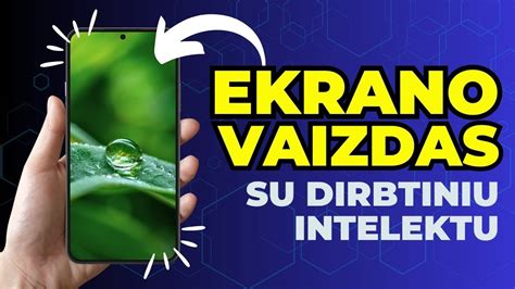 ekranas su SPIS sistema ir užpildytu prašymu
